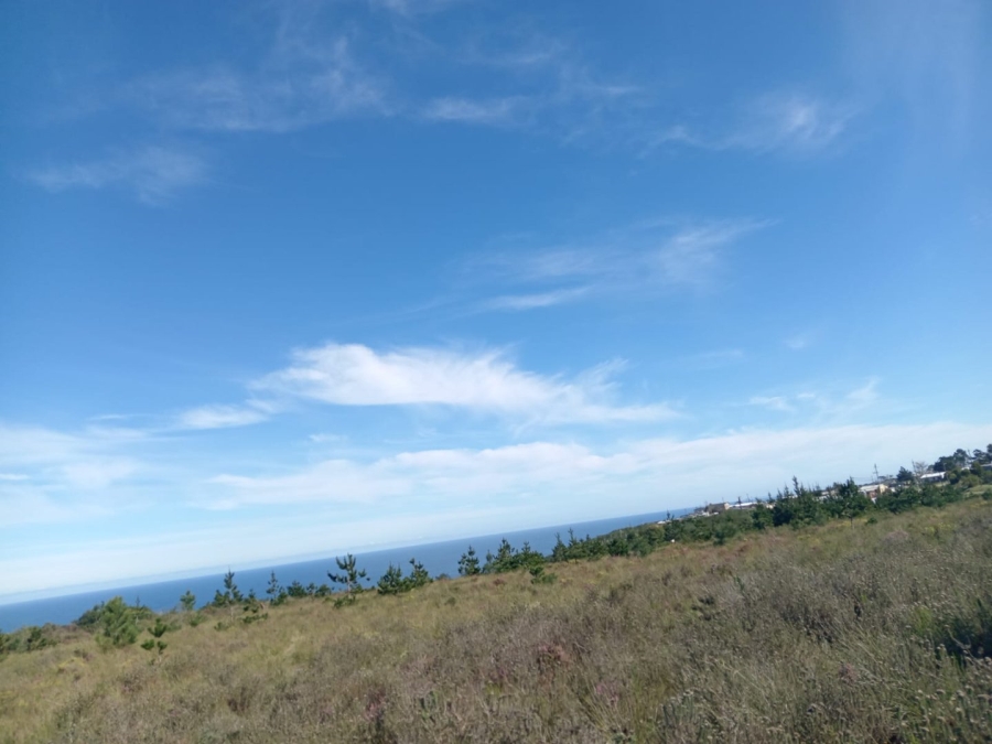 Commercial Property for Sale in Kranshoek AH Western Cape